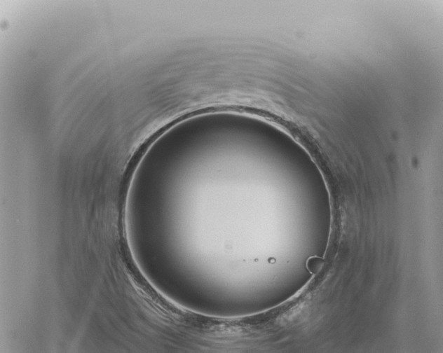 X0000060761505200511171135