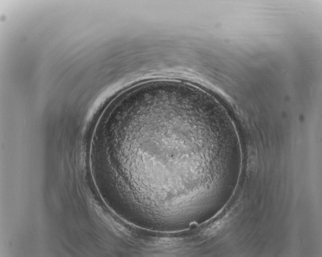 X0000060761506200511171135