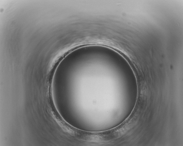 X0000060761507200511171135