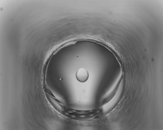 X0000060761508200511171135