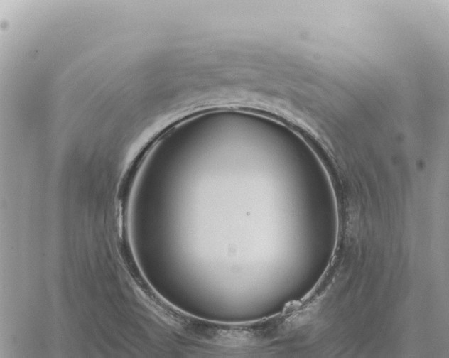 X0000060761509200511171135