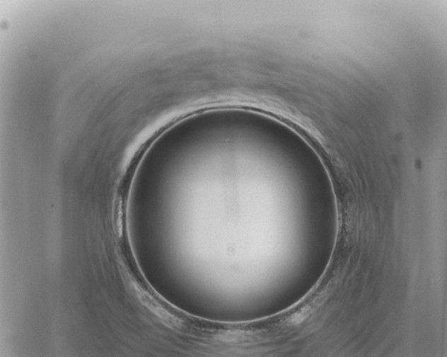 X0000060761510200511171135