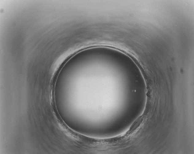 X0000060761511200511171135