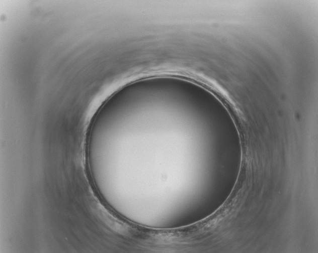 X0000060761512200511171135