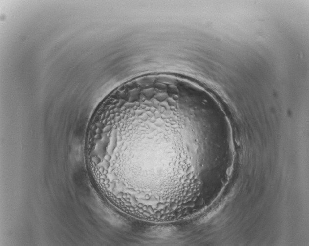 X0000060761513200511171135