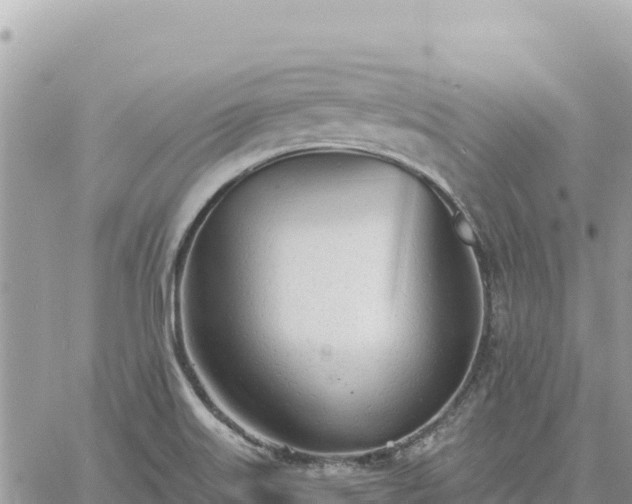 X0000060761515200511171135