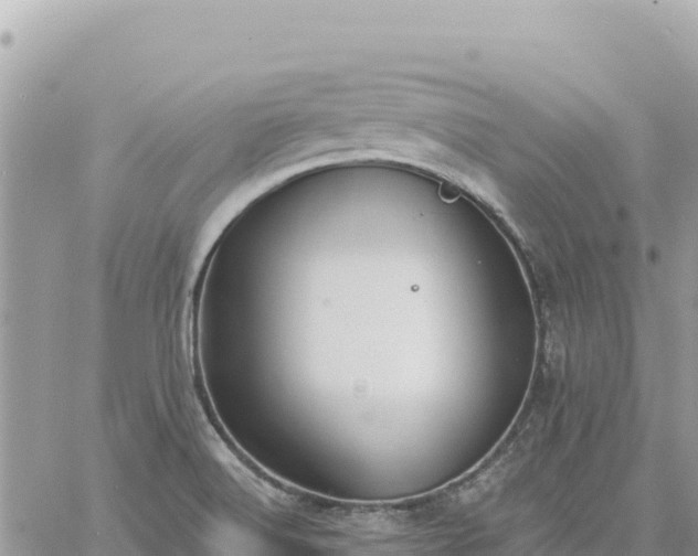 X0000060761516200511171135