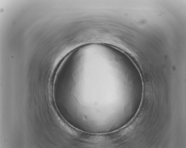 X0000060761517200511171135