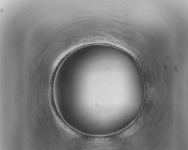 X0000060761518200511171135