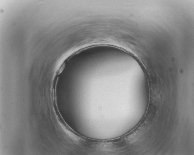 X0000060761519200511171135