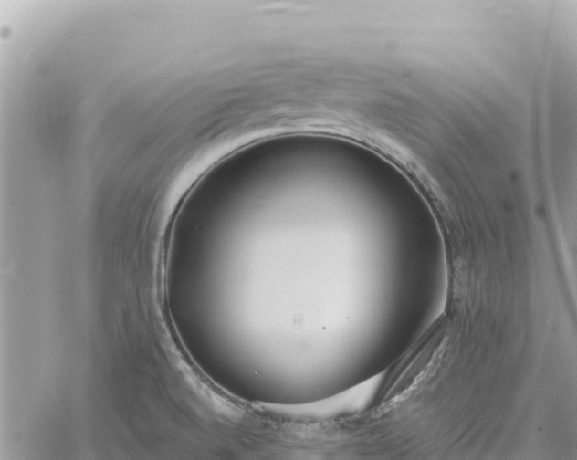 X0000060761520200511171135