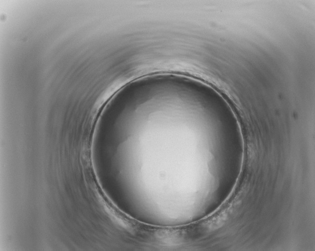 X0000060761521200511171135