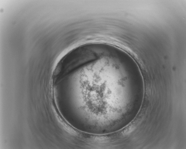 X0000060761522200511171135