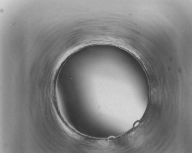 X0000060761523200511171135