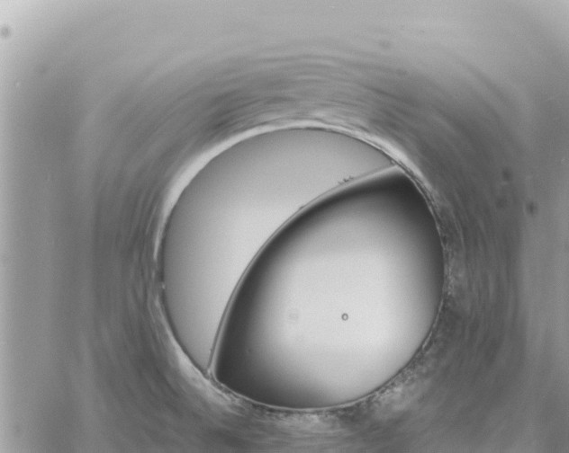 X0000060761524200511171135