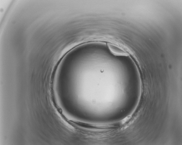 X0000060761525200511171135