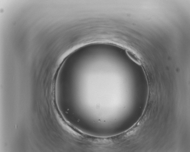 X0000060761526200511171135