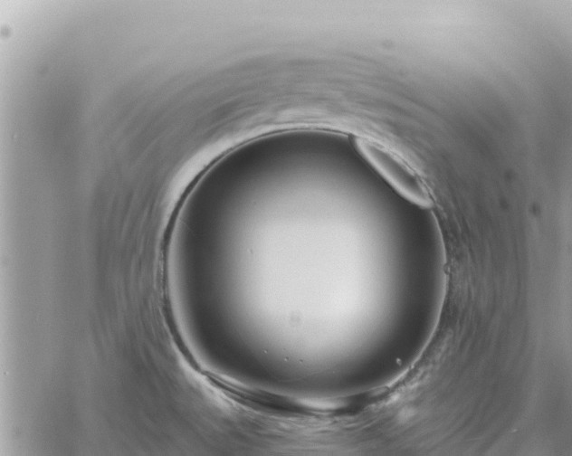 X0000060761527200511171135