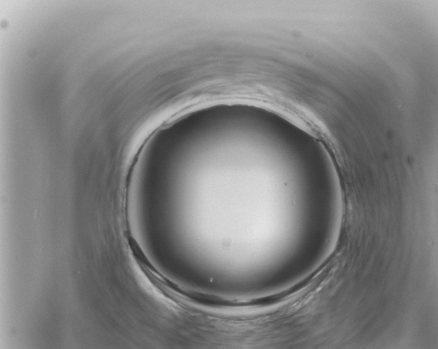 X0000060761528200511171135