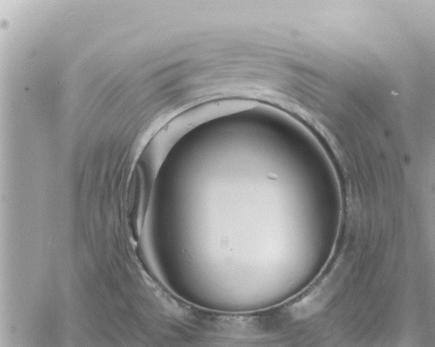 X0000060761529200511171135