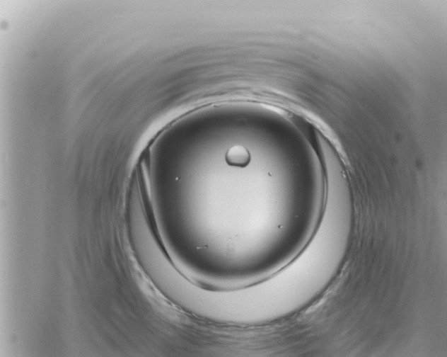 X0000060761530200511171135