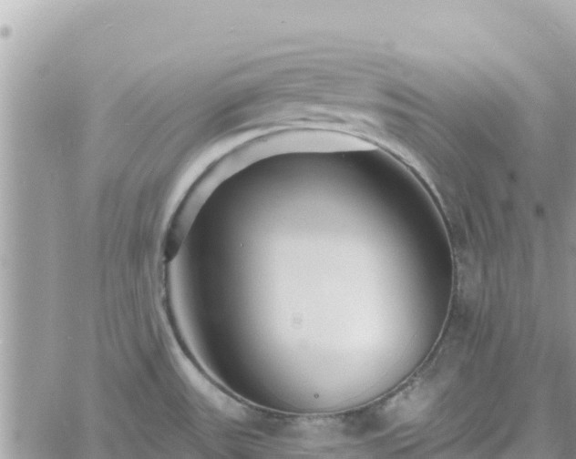 X0000060761531200511171135