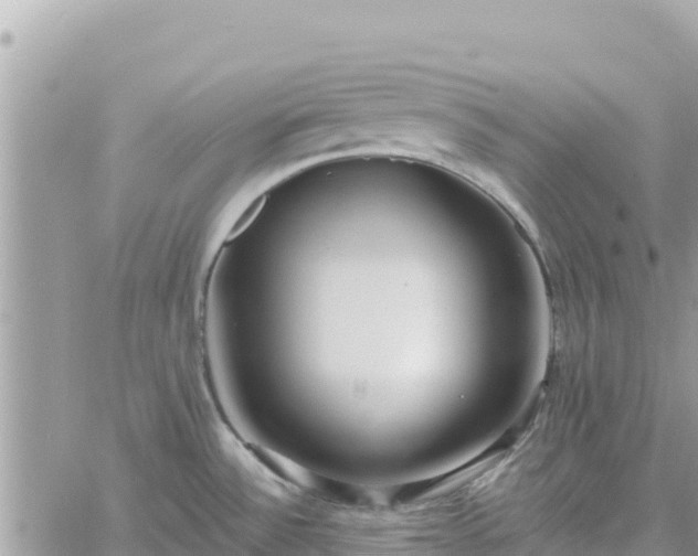 X0000060761532200511171135