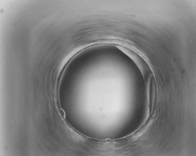 X0000060761533200511171135