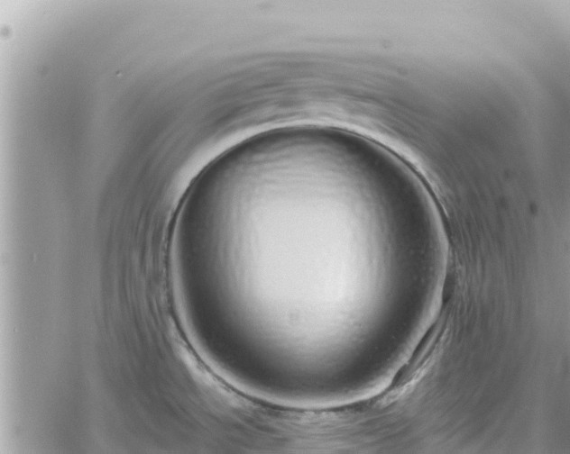 X0000060761534200511171135