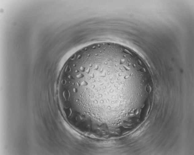 X0000060761535200511171135