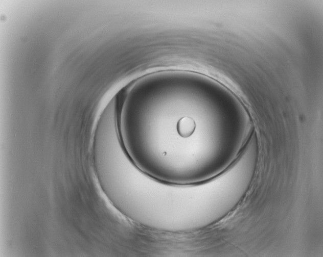 X0000060761536200511171135