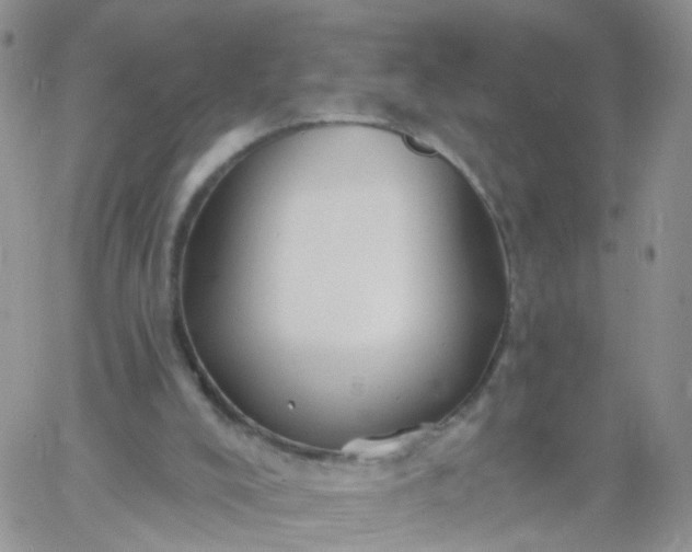 X0000060760008200511241740