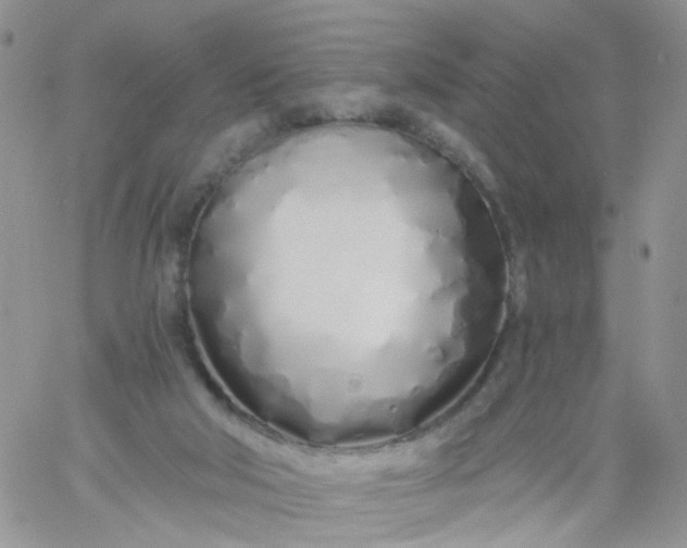 X0000060760018200511241740