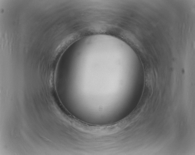 X0000060760023200511241740