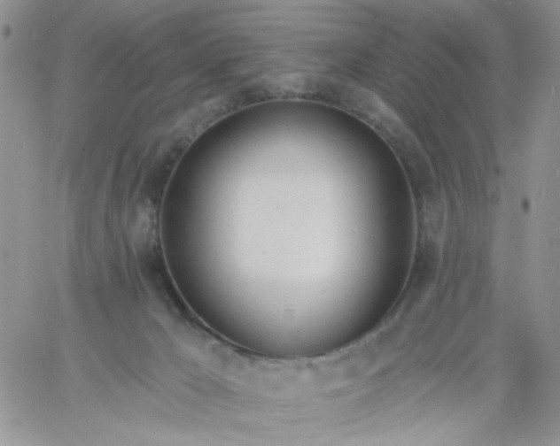 X0000060760029200511241740