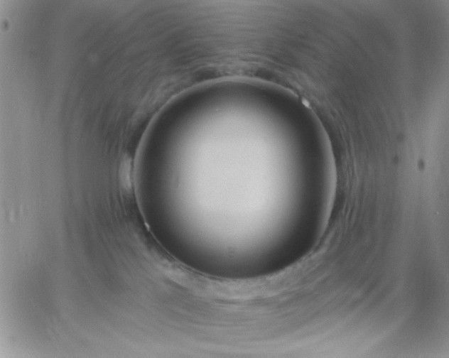 X0000060760041200511241739