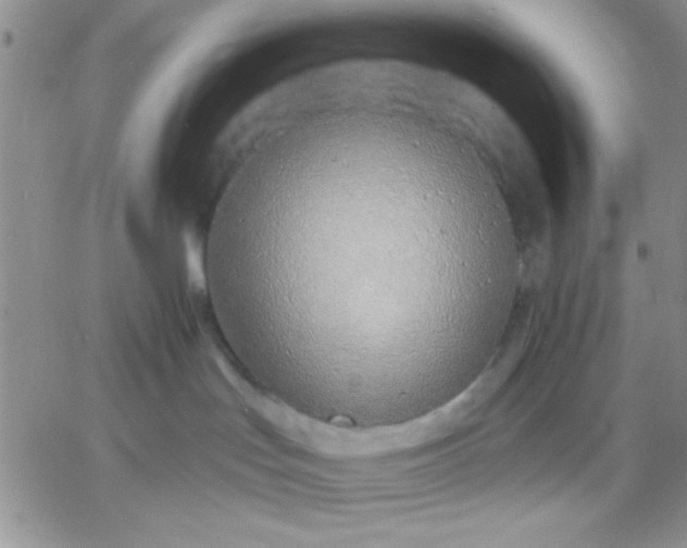 X0000060760047200511241739