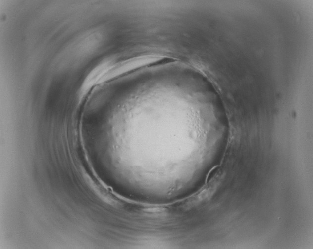 X0000060760053200511241739