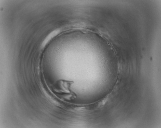 X0000060760054200511241739