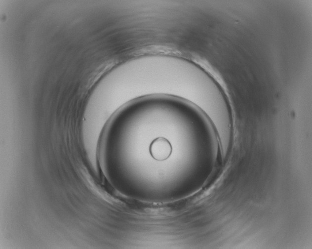 X0000060760057200511241739