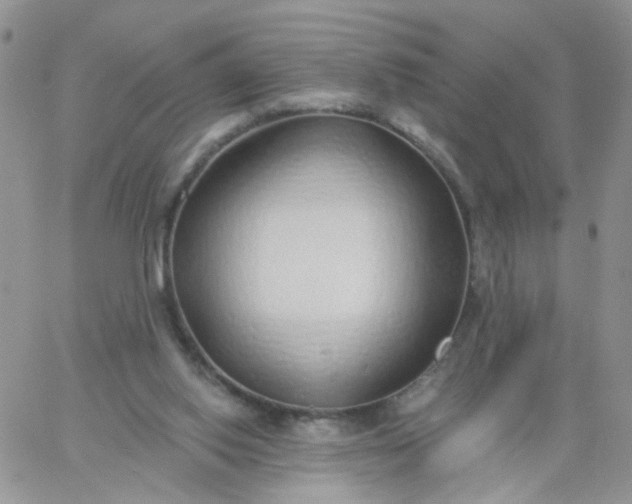 X0000060760062200511241739