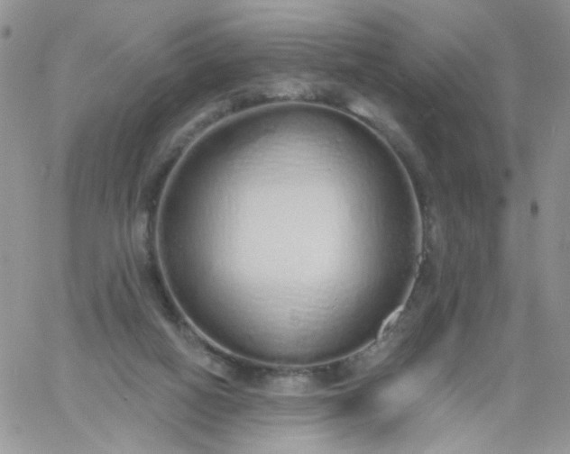 X0000060760066200511241739