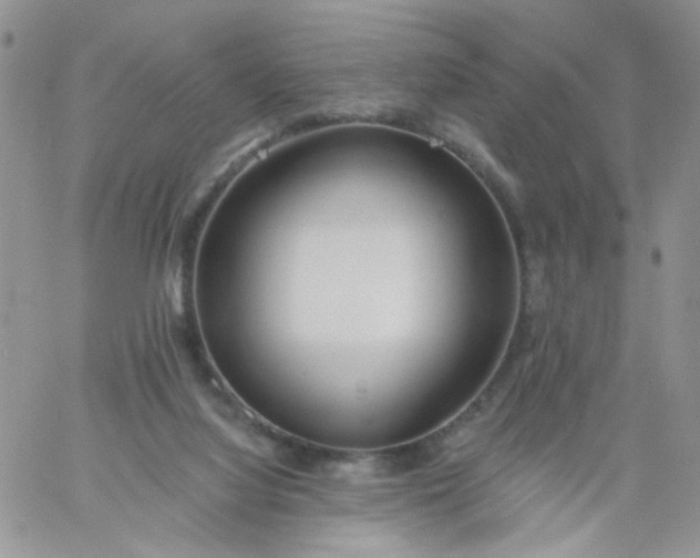 X0000060760068200511241739