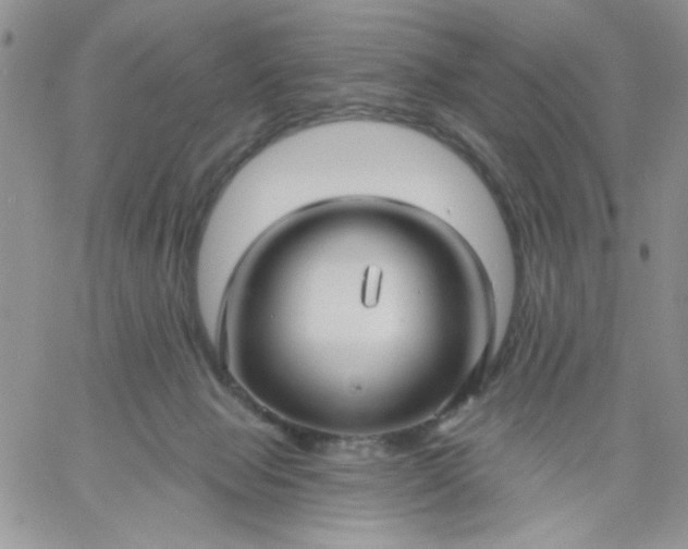 X0000060760077200511241739