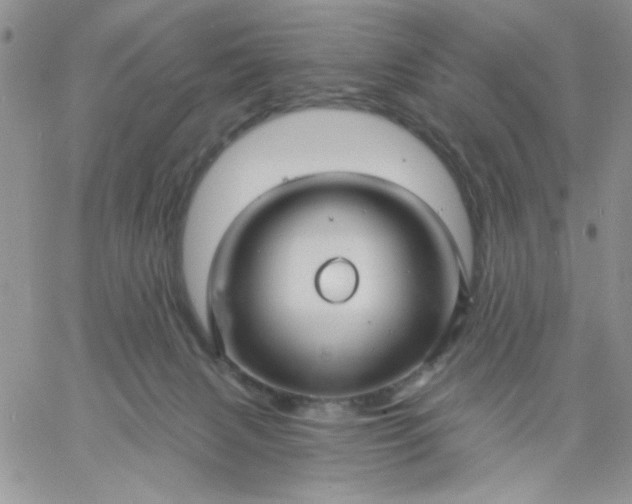 X0000060760079200511241739