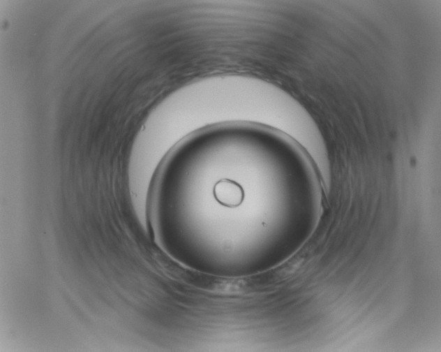 X0000060760080200511241739