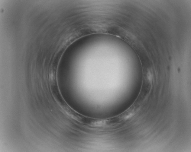 X0000060760084200511241739