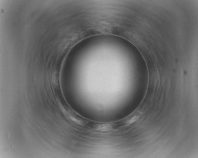 X0000060760088200511241739