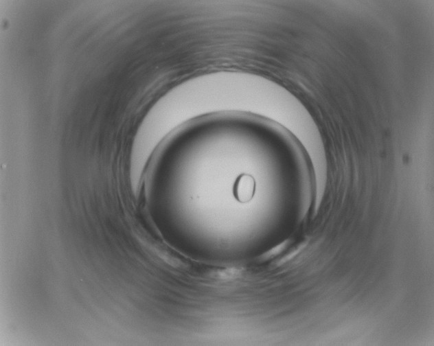 X0000060760092200511241739