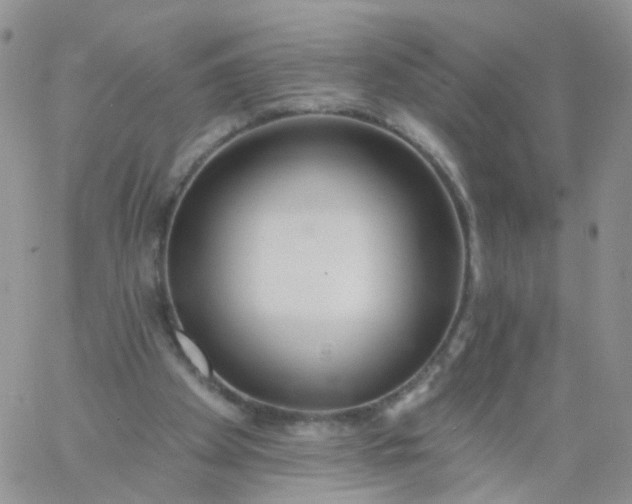 X0000060760105200511241738